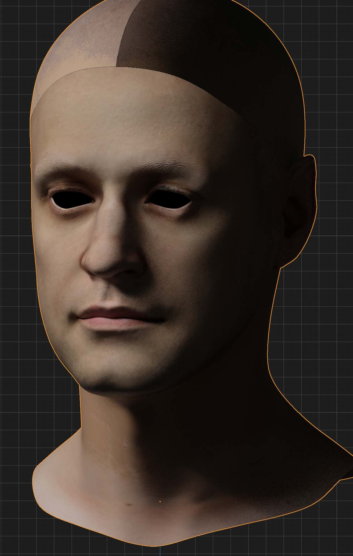 Sample head scan 3